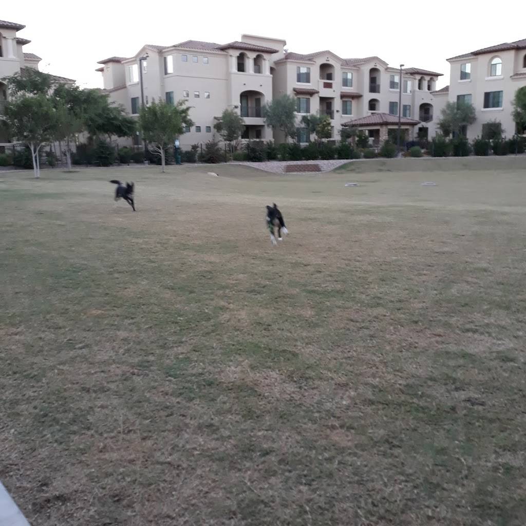 San Sonoma Dog Park | 9010 S Priest Dr, Tempe, AZ 85284, USA | Phone: (480) 634-7777