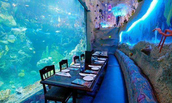 Aquarium Restaurant | 700 Water St, Denver, CO 80211, USA | Phone: (303) 561-4450