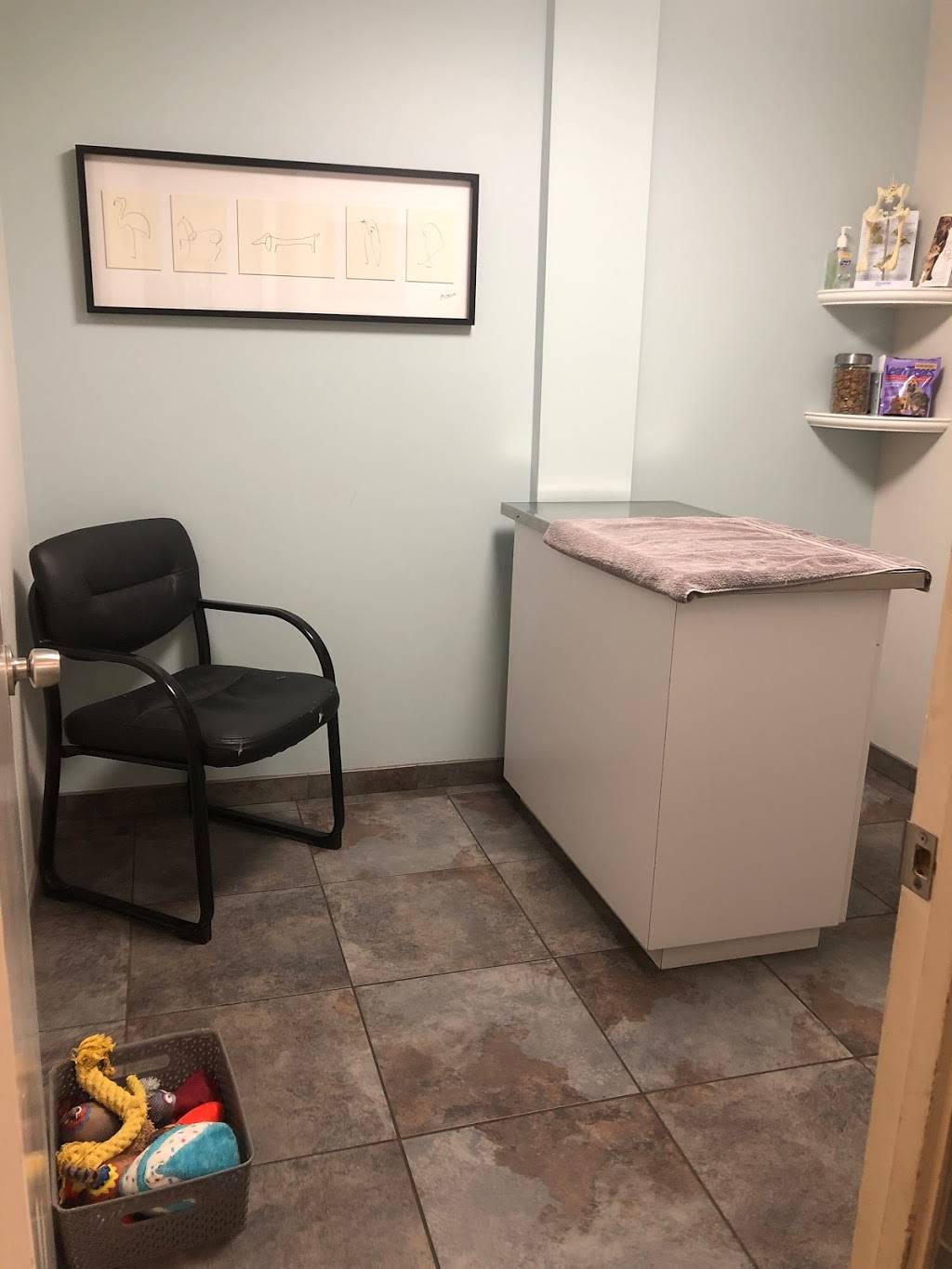 Madison Park Veterinary Hospital | 4016 E Madison St, Seattle, WA 98112, USA | Phone: (206) 324-4050