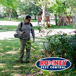 Romney Pest Control | 16920 Kuykendahl Rd, Houston, TX 77068, USA | Phone: (281) 781-7650