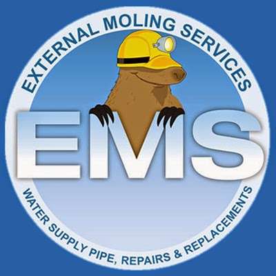 External Moling Services | 59 Levett Rd, Leatherhead KT22 7EQ, UK | Phone: 0800 612 9605