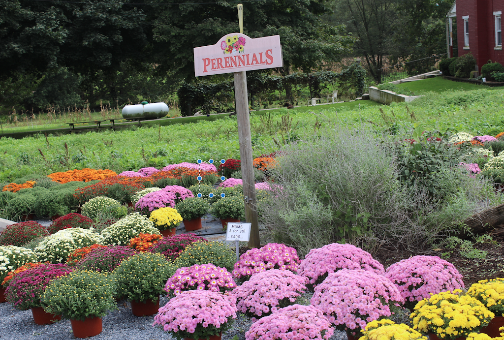 Newswanger’s Greenhouse | 121 Middle Creek Rd, Lititz, PA 17543, USA | Phone: (717) 733-4647