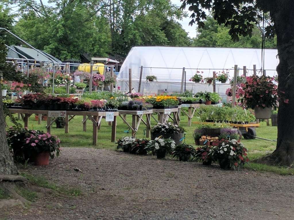 Crane Farm | 1234, 270 S Maple Ave, Basking Ridge, NJ 07920, USA | Phone: (908) 766-8922