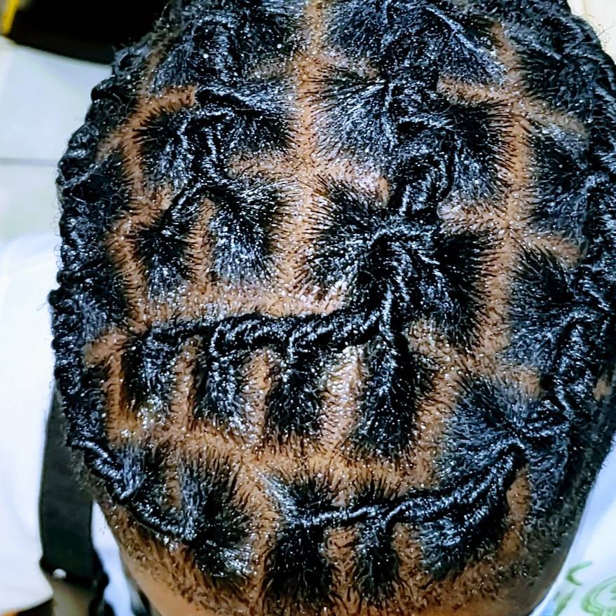 Locs concept | 5196 Washington St, Boston, MA 02132, USA | Phone: (857) 247-1990