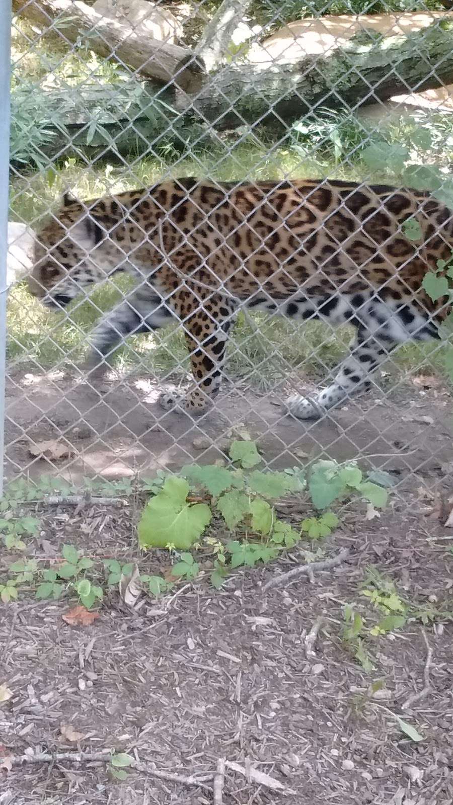 Catoctin Zoo | 15, Thurmont, MD 21788, USA