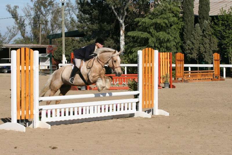 Heather Hill Riding Center | 3674 Sand Hill Rd, Woodside, CA 94062, USA | Phone: (650) 465-4083