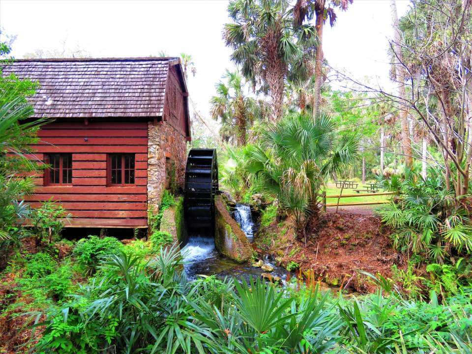 Juniper Springs Recreation Area | Florida, USA