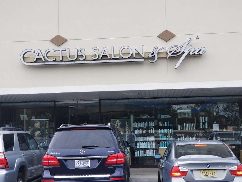 Cactus Salon Day Spa | 26 Vanderbuilt Parkway, Commack, NY 11725, USA | Phone: (631) 499-7194