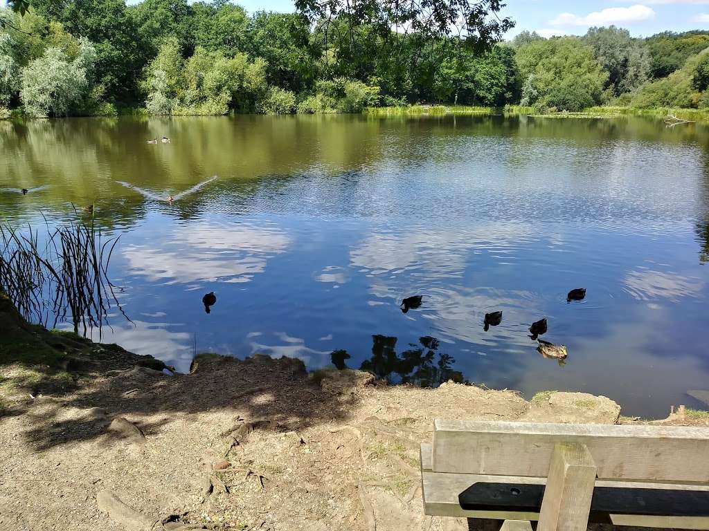 old Hall Pond Thorndon Park | Brentwood CM13 3LH, UK