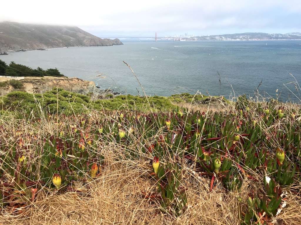 Bonita Lighthouse Parking | Mill Valley, CA 94941, USA