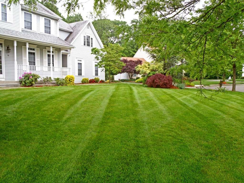 Tee Time Lawn Care, Inc. | 23736 W 119th St, Plainfield, IL 60585, USA | Phone: (815) 609-6969