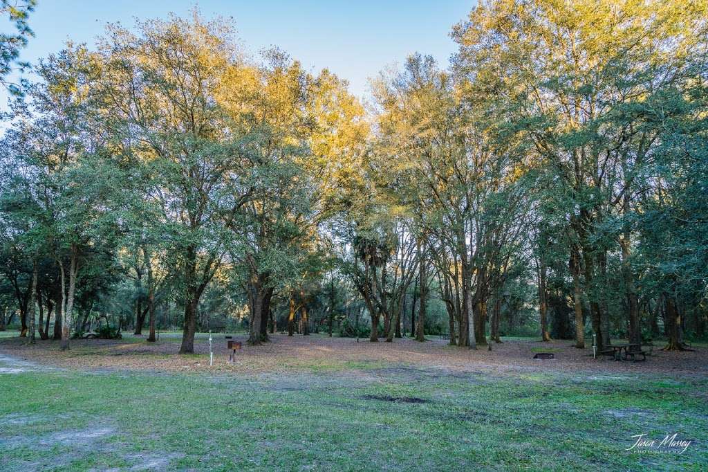 Hampton Tract/Green Swamp Wilderness Preserve | 14440 Rockridge Rd, Polk City, FL 33868 | Phone: (800) 423-1476