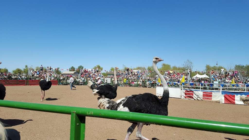 Tumbleweed Ranch | 2250 S McQueen Rd, Chandler, AZ 85286, USA | Phone: (480) 782-2717