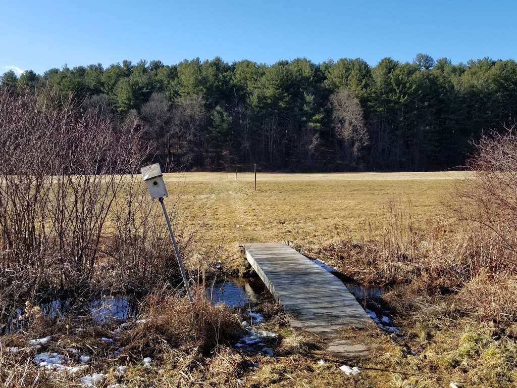 Green Street Conservation Trailhead | NBOR-026.0-0003, Northborough, MA 01532, USA