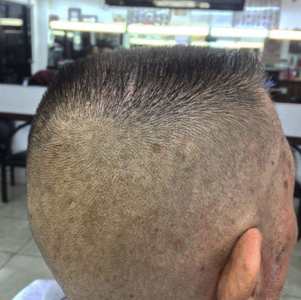 Amandas barber shop #1 | 12539 San Fernando Rd STE A, Sylmar, CA 91342 | Phone: (818) 378-0979