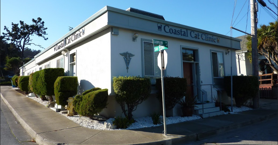 Coastal Cat Clinic | 1290 Danmann Ave, Pacifica, CA 94044 | Phone: (650) 557-2781