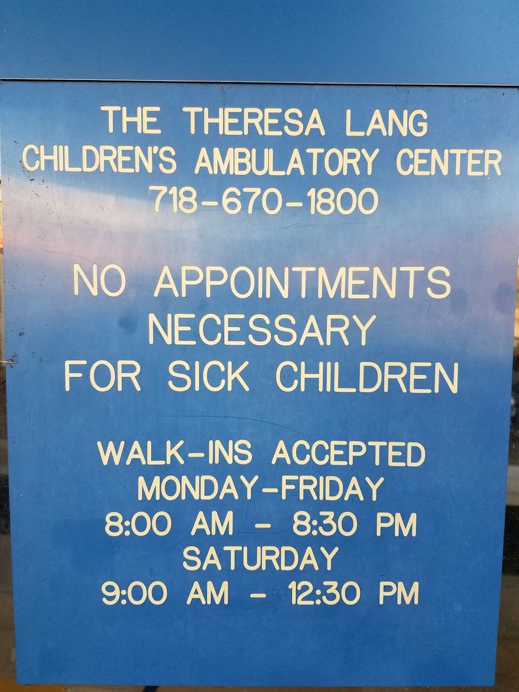 Theresa Lang Childrens Ambulatory Center | 56-45 Main St, Flushing, NY 11355, USA | Phone: (718) 670-1800