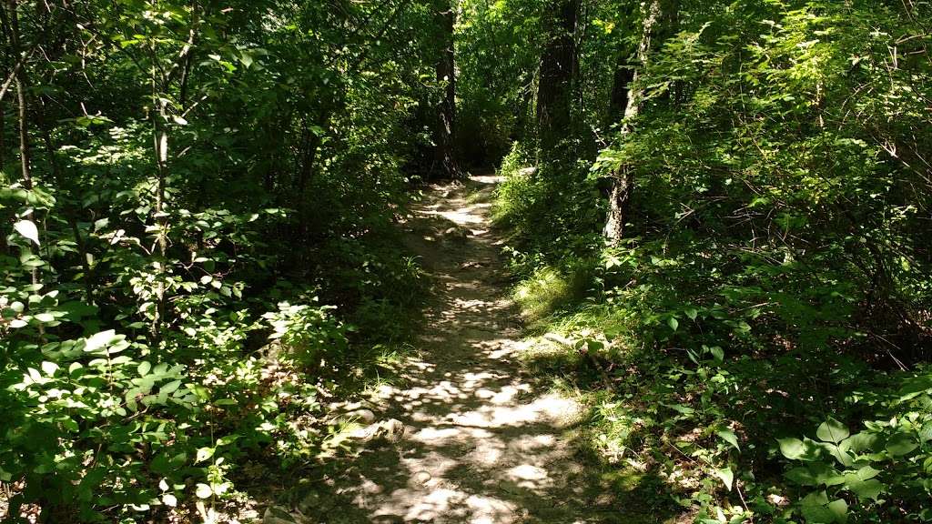 Young Prairie State Natural Area | Whitewater, WI 53190, USA | Phone: (608) 266-0394