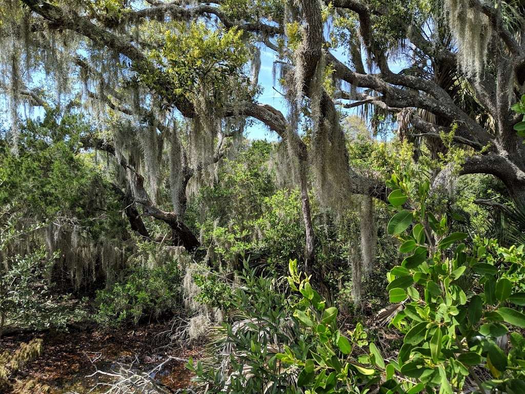 Timucuan Park | Ponce Inlet, FL 32127, USA