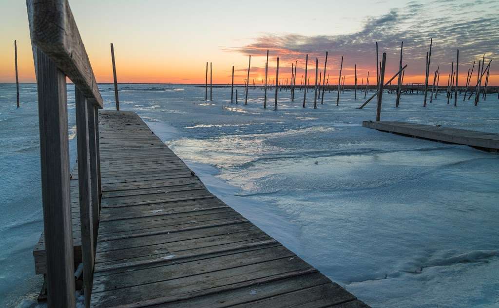 Great Bay Boulevard Wildlife Management Area | Little Egg Harbor Township, NJ 08087, USA