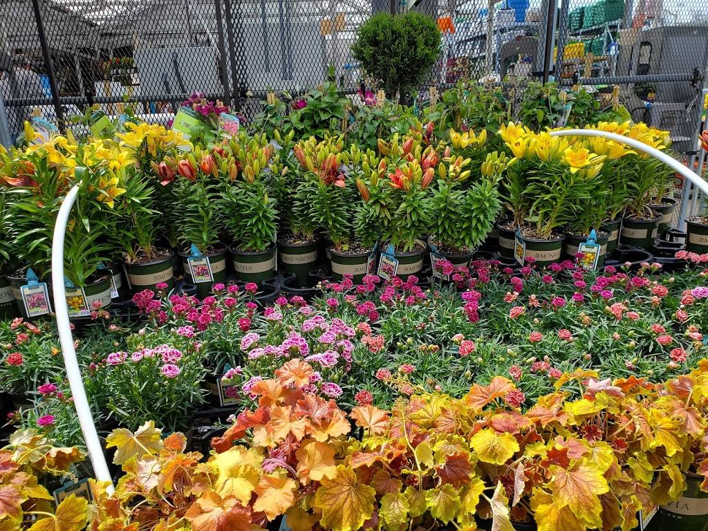 Lowes Garden Center | 5775 Baptist Rd, Bethel Park, PA 15102, USA | Phone: (412) 212-2000