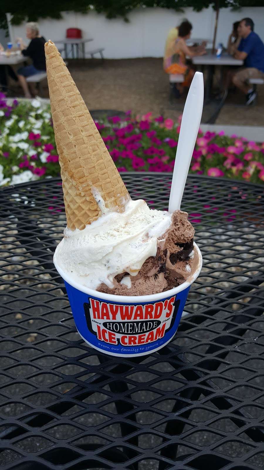 Haywards Ice Cream | 7 Daniel Webster Hwy, Nashua, NH 03060, USA | Phone: (603) 888-4663