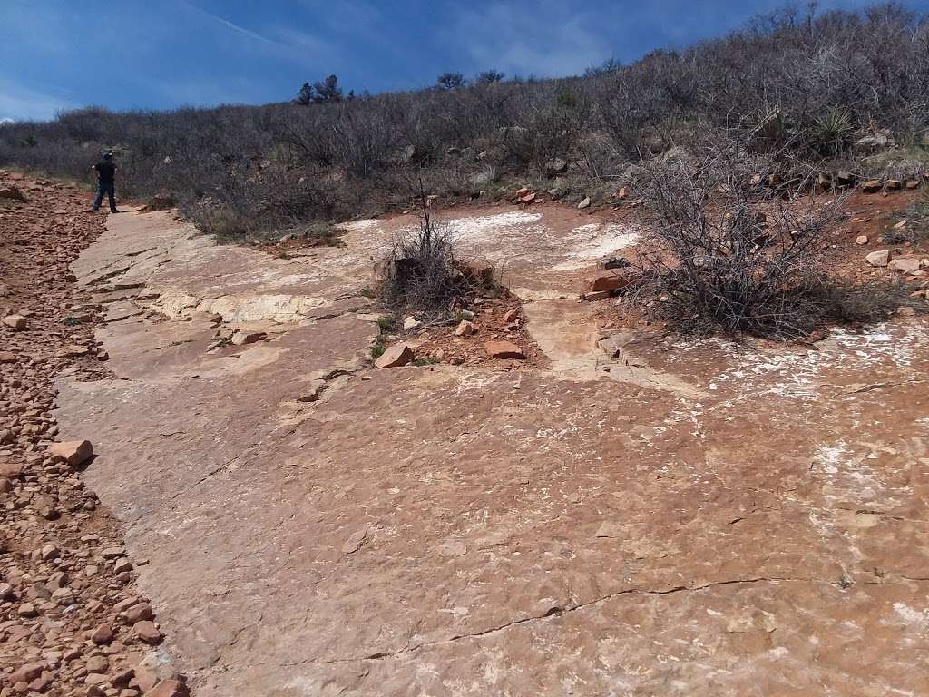 Coyote Ridge Trail Parking | Coyote Ridge Trail, Fort Collins, CO 80526, USA