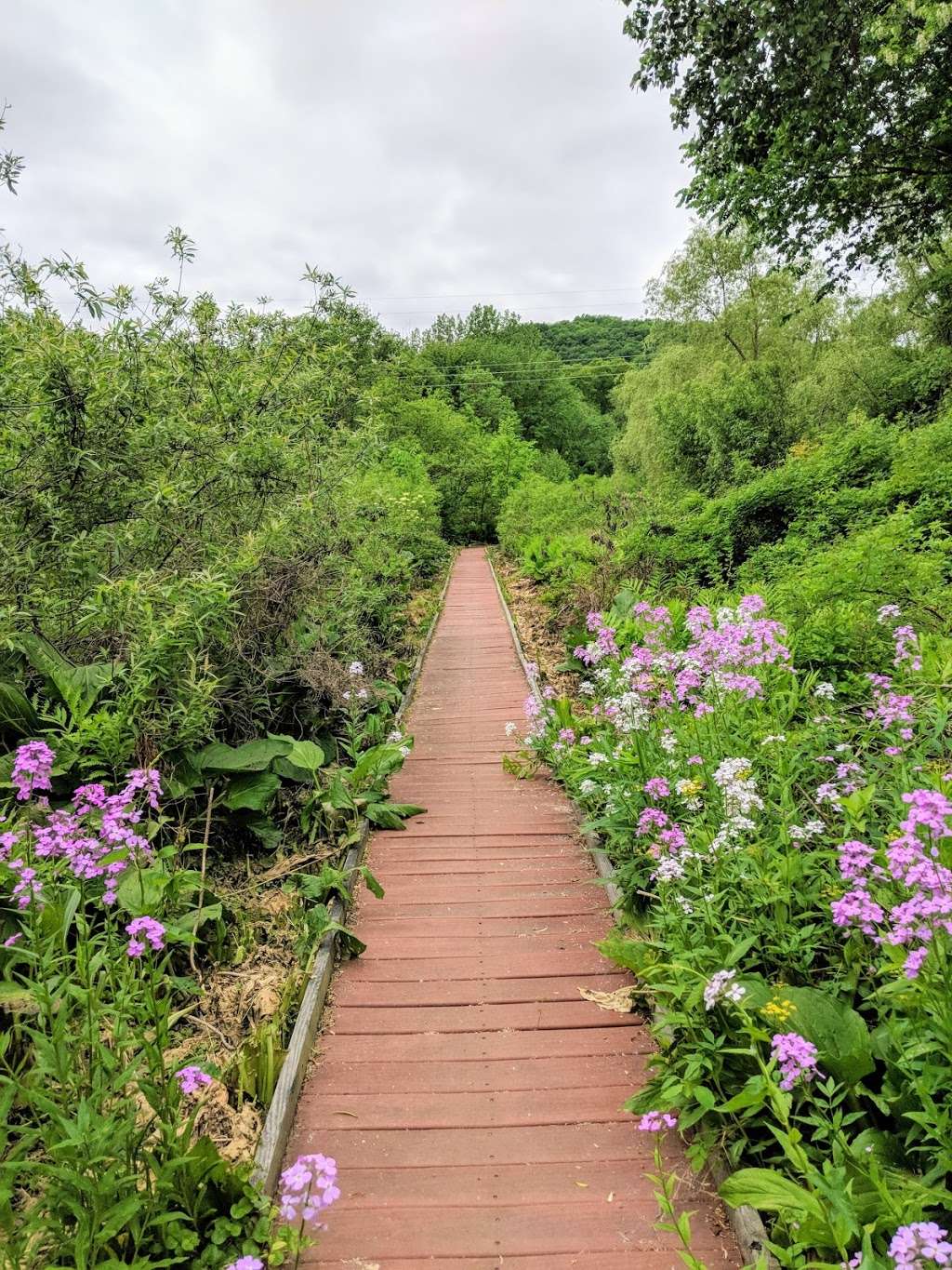 Enchanted Boardwalk | 10 Walnut Hill Rd, Bethel, CT 06801, USA