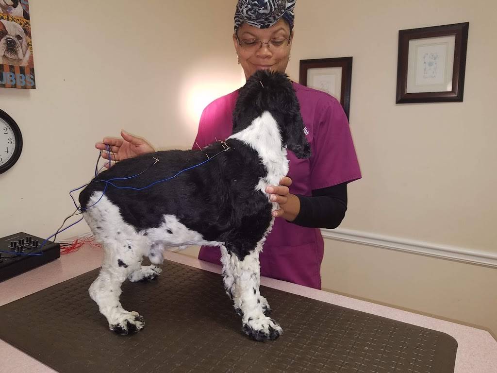 Atlanta Veterinary Skin & Allergy Clinic, PC | 2803 Shallowford Rd, Atlanta, GA 30341, USA | Phone: (770) 936-8922