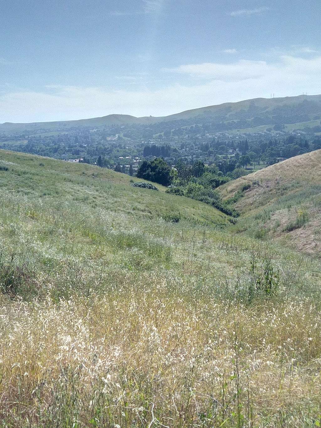 Old Ranch Park | 1000 Vista Monte Dr, San Ramon, CA 94582, USA