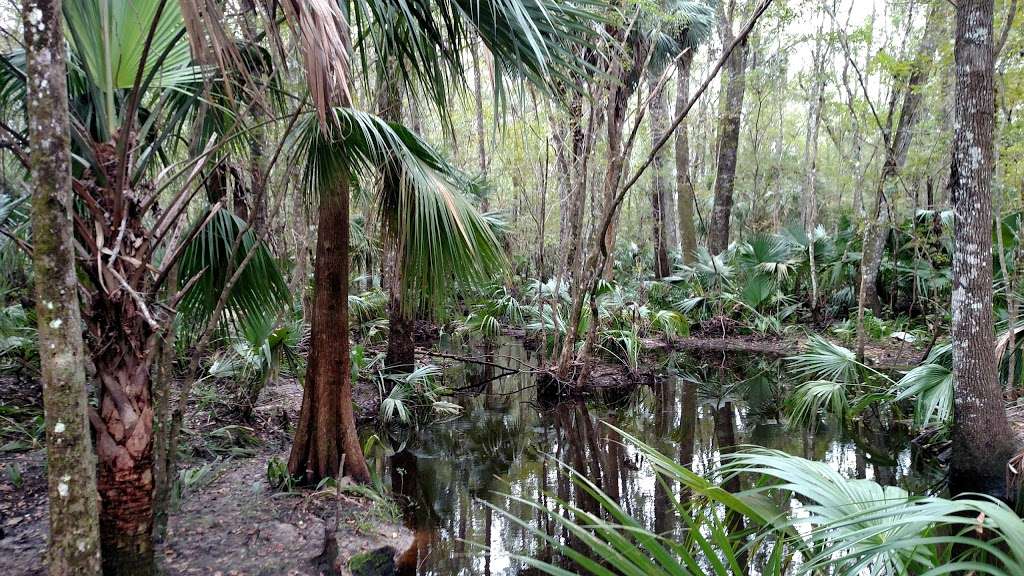 Silver Springs Forest Conservation Area | 6381 E, FL-326, Silver Springs, FL 34488 | Phone: (386) 329-4404