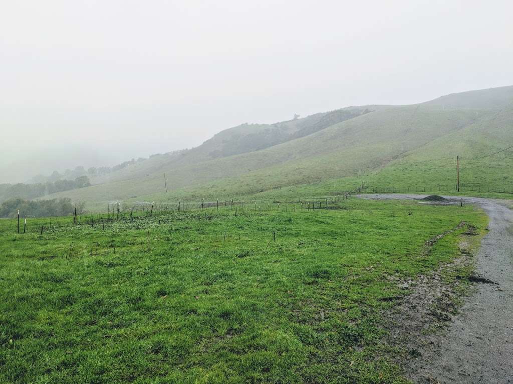 La Honda Creek Open Space Preserve | Redwood City, CA 94062, USA | Phone: (650) 691-1200