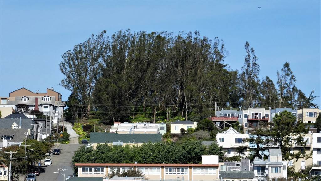 Dorothy W Erskine Park | 7 Martha Ave, San Francisco, CA 94131, USA | Phone: (415) 831-2700