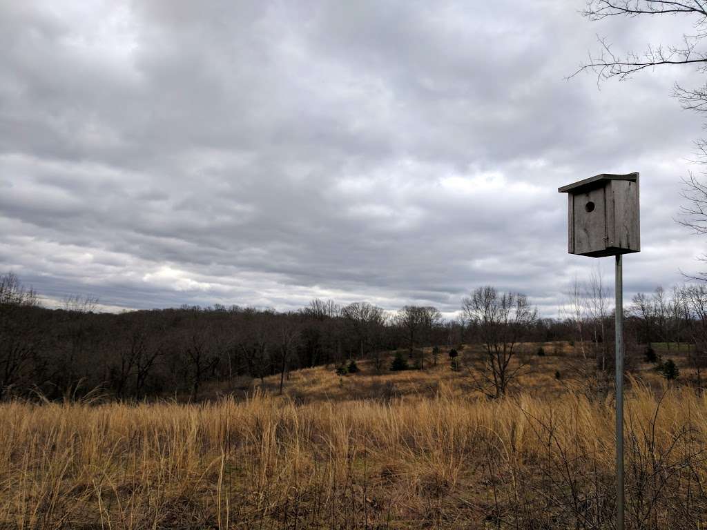 Houston Meadow | Yellow Trail, Philadelphia, PA 19128, USA