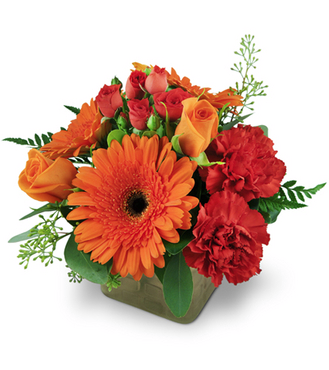 Monica Chimes Floral, Inc. | 83 Harrison Blvd, West Harrison, NY 10604, USA | Phone: (914) 428-7212