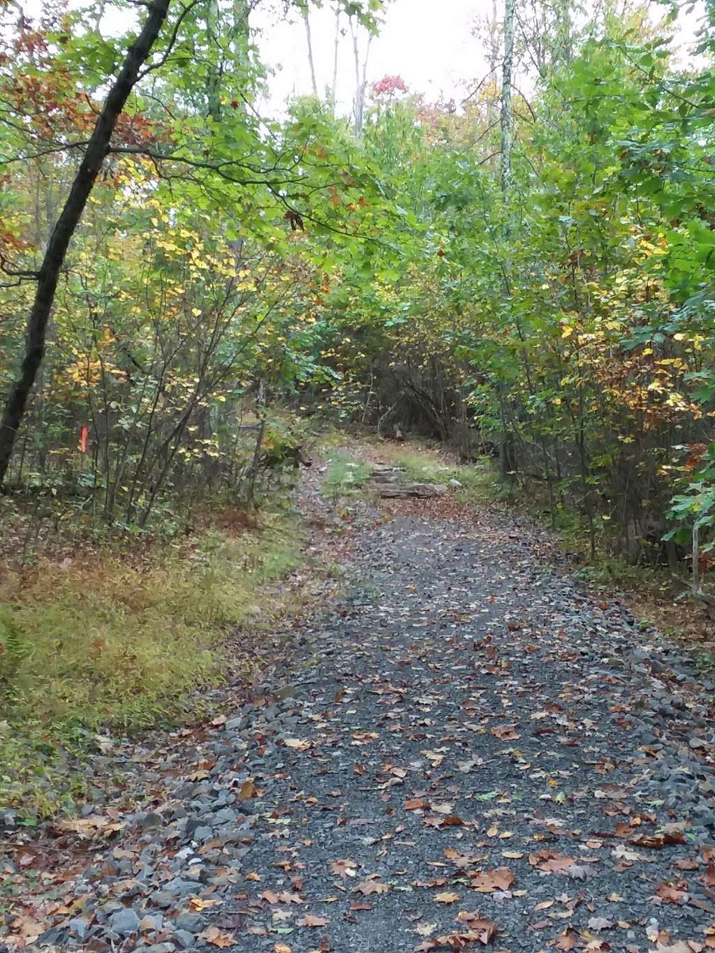 Mount Airy Red Rock Trailhead | Cresco, PA 18326, USA