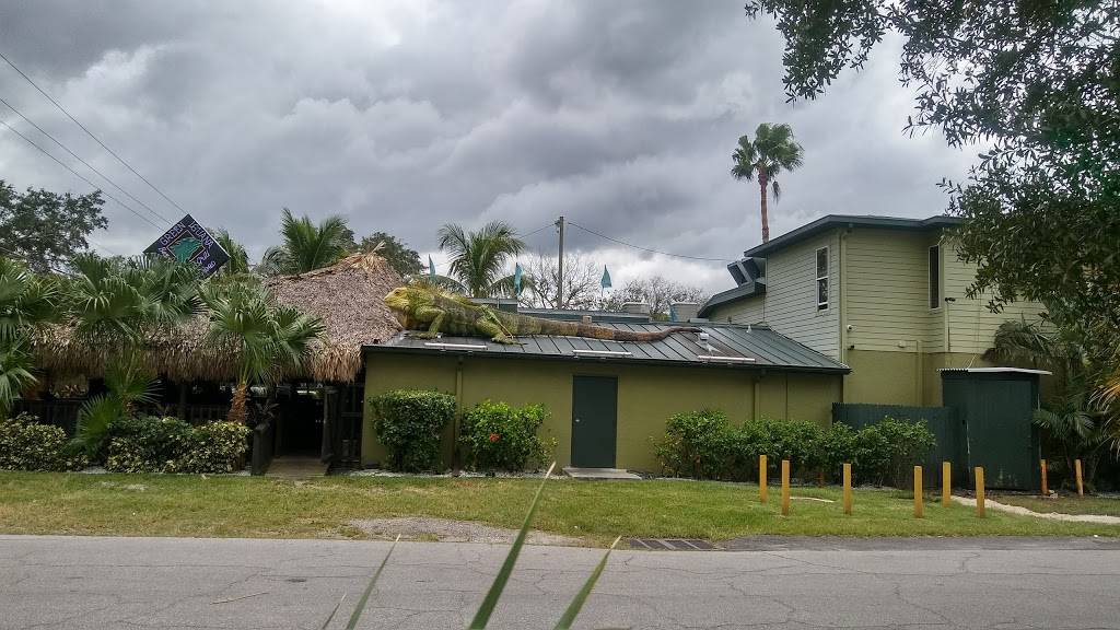 Green Iguana Bar & Grill | 4029 S West Shore Blvd, Tampa, FL 33611, USA | Phone: (813) 837-1234