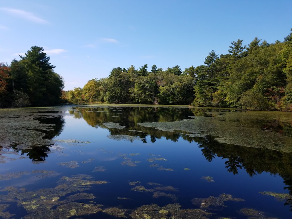 Mass Audubons Stony Brook Wildlife Sanctuary | 108 North St, Norfolk, MA 02056, USA | Phone: (508) 528-3140