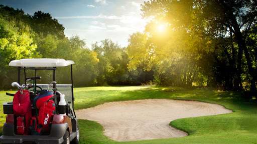 Golf Cart Doctor Inc. | 1073 S Ironton St, Aurora, CO 80012 | Phone: (720) 350-2600