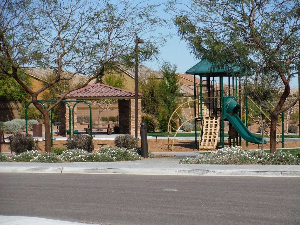 The Reserve at Stonefield Community Park | 1882 W Kingbird Dr, Chandler, AZ 85286, USA