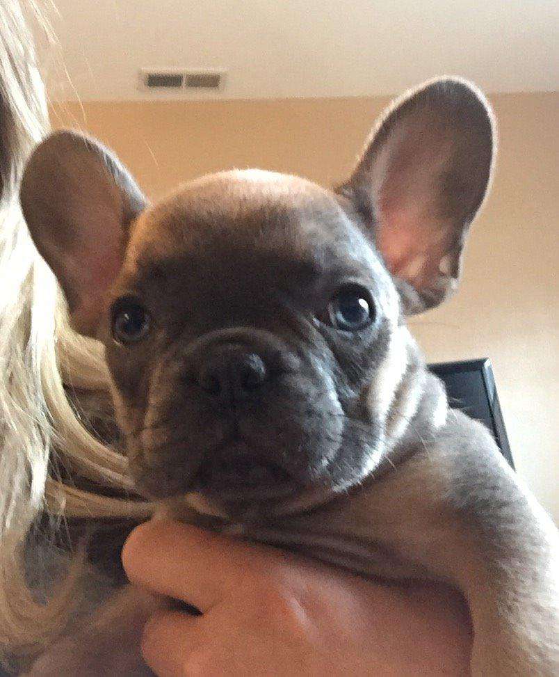 Danielle Shannon Agency: Allstate Insurance | 6820 S Liverpool St Ste D, Aurora, CO 80016, USA | Phone: (303) 676-8071