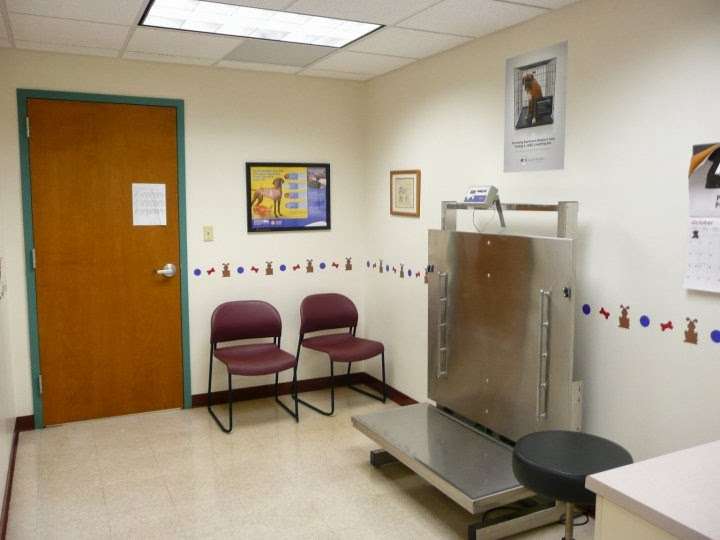 Four Seasons Animal Hospital | 10624 Randolph St, Crown Point, IN 46307, USA | Phone: (219) 663-8387