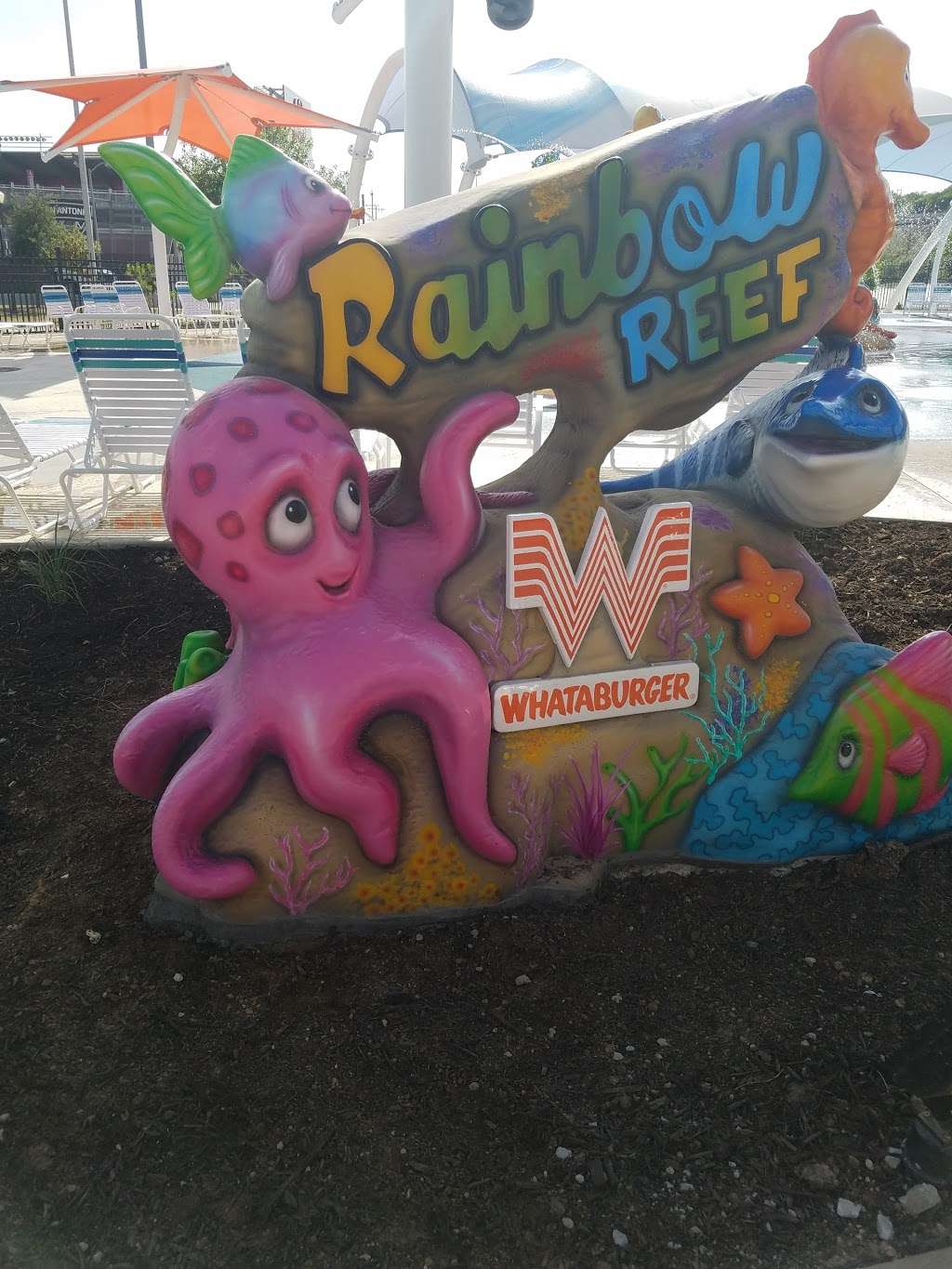 Rainbow Reef @ Morgans Inspiration Island | 5106 David Edwards Dr, San Antonio, TX 78233