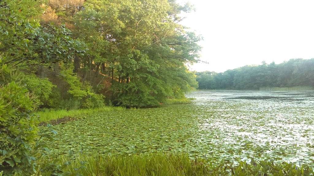 Blue Hills - Skyline Trail | Quincy, MA 02169, USA