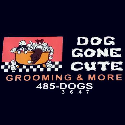 Dog Gone Cute Grooming & More | 216 W Broadway St, Fortville, IN 46040, USA | Phone: (317) 485-3647