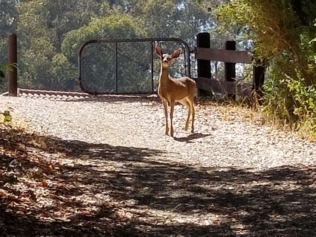 Five Canyons Open Space | 5909 Gold Creek Dr, Castro Valley, CA 94552, USA | Phone: (510) 544-3073