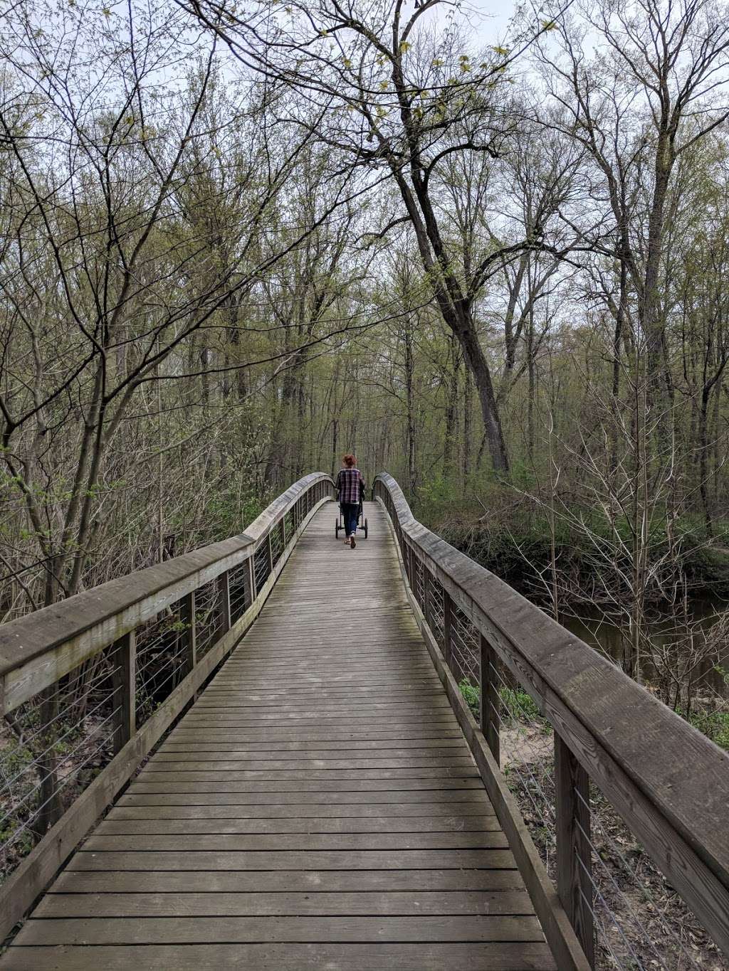 Warren Woods Forest Primeval | 7098-7298 Warren Woods Rd, Three Oaks, MI 49128, USA