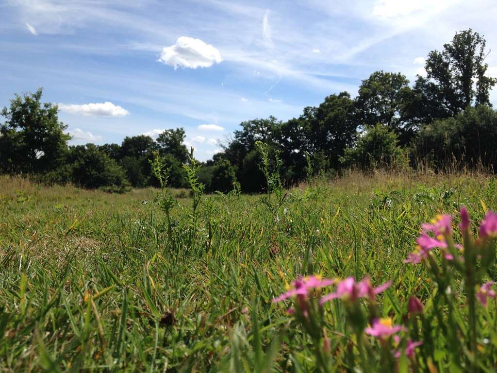 Eden Valley Woodland Burial Ground | Crouch House Road, Edenbridge TN8 5LG, UK | Phone: 01732 860109