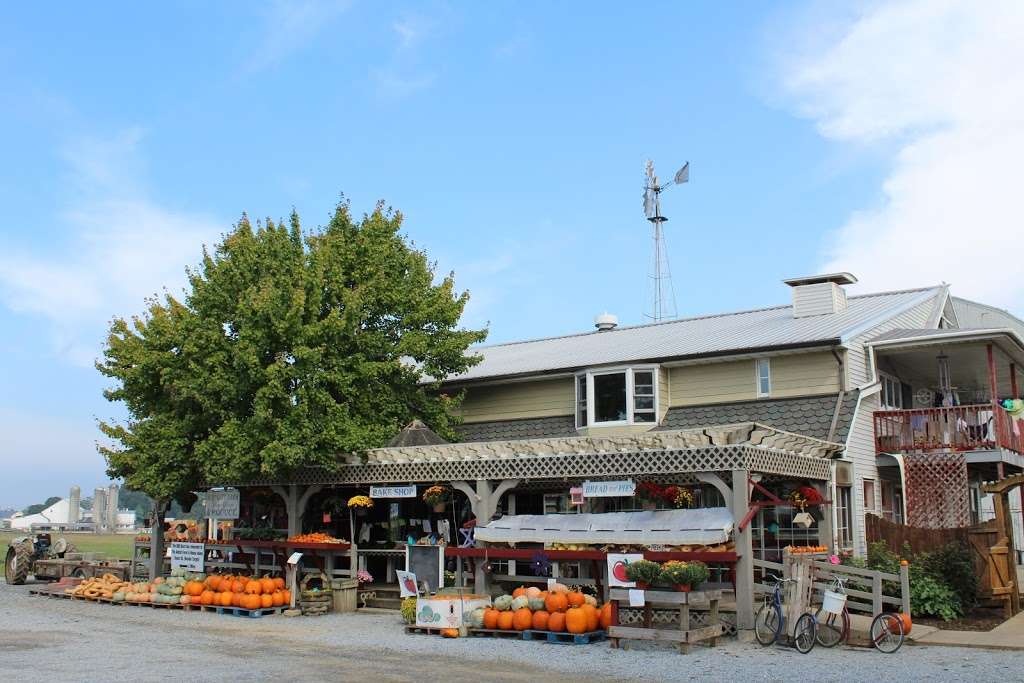 BLUEGATE FARM Homegrown Produce & Homestyle Bakery | 2725 Lincoln Hwy, Ronks, PA 17572, USA | Phone: (717) 617-4310