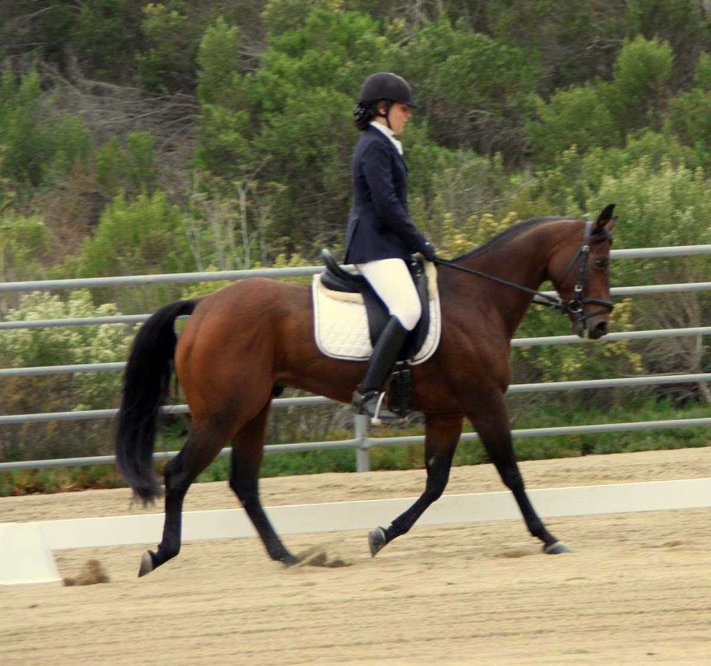 Angie Grove Dressage | 2581 Kanan Rd, Agoura Hills, CA 91301 | Phone: (818) 391-8958